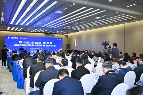 2025中關(guān)村論壇系列活動(dòng) 聚焦科技服務(wù)業(yè)高質(zhì)量發(fā)展，工程技術(shù)服務(wù)引領(lǐng)創(chuàng)新未來